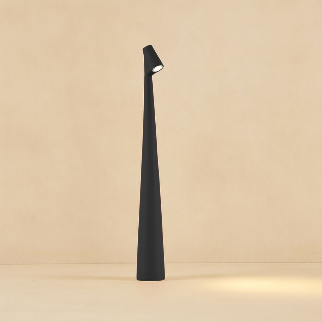 Modern Minimalist Metal Table Lamp With Built In Battery