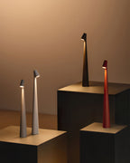 Modern Minimalist Metal Table Lamp With Built In Battery